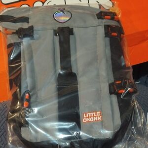 Gray Backpack